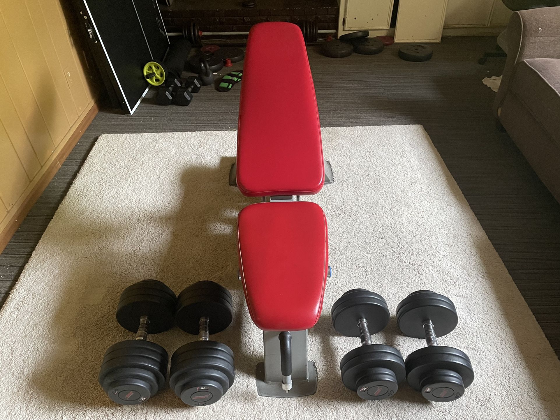 Nautilus Snap fitness Bench press and Weights / Dumbbells 