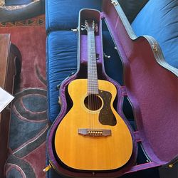 Guild Vintage 1980 F20 NT