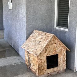 Dog House 