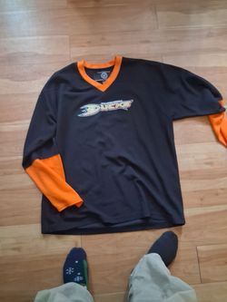Anaheim ducks