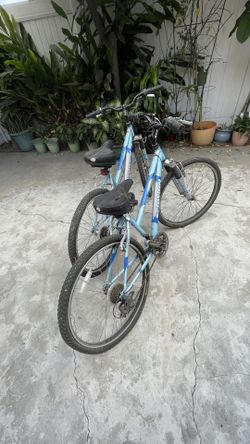 Schwinn Moutain Bikes