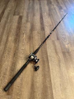 Penn rival 15 5’ 20-30 conventional fishing combo.