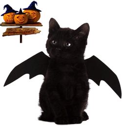 👻👻👻Halloween Cat Dog Costume Wings