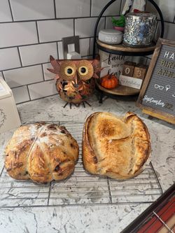 Sourdough bags