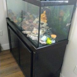 50 Gallon Fish Tank 