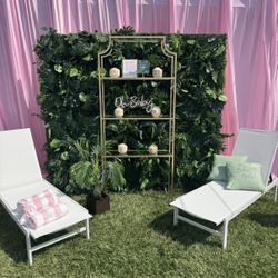 White Reclining pool Chair