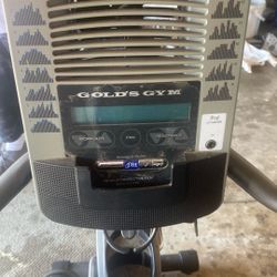 Golds Gym 390 Excessive Bike 