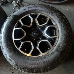 Ford F150 Wheel and Tires 