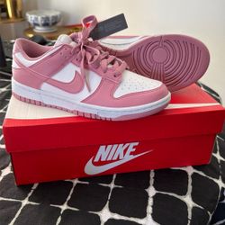 Brand New Women Nike Dunks