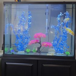 35 Gallons Aquarium / Fish Tank and Base