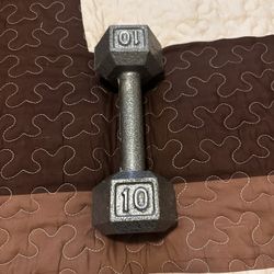 10 Lb Weight