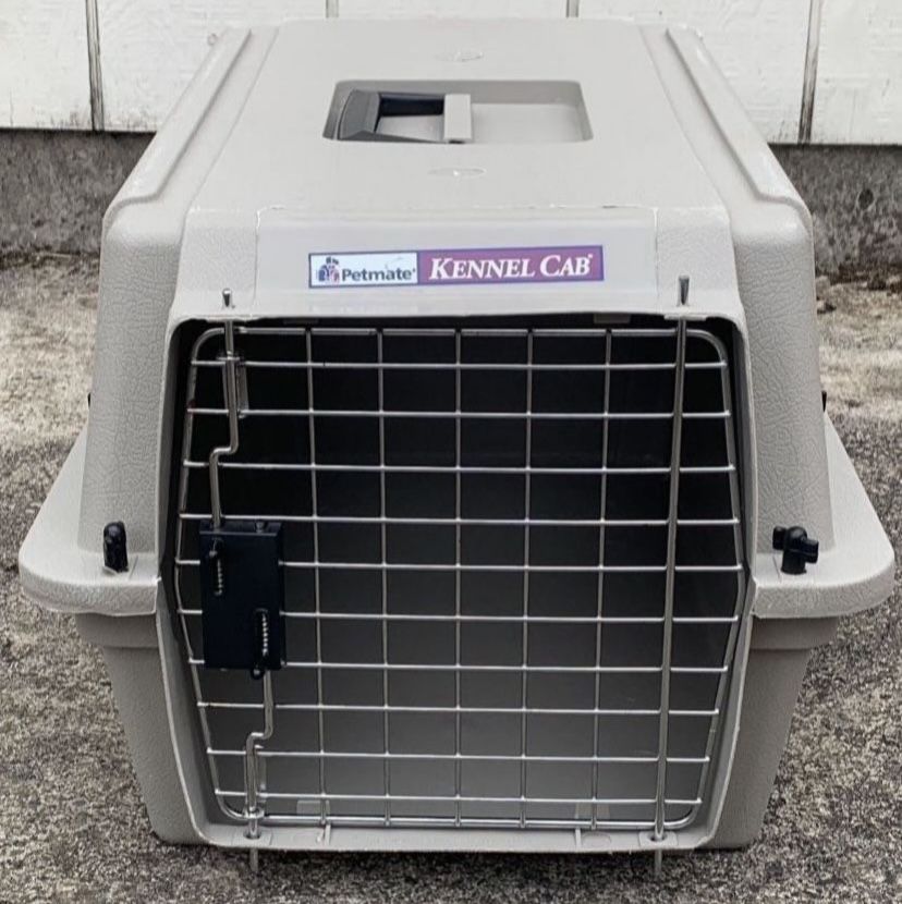 Pet Carrier (cat/small dog)