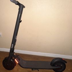 Segway Ninebot Electric Scooter 