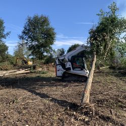 Land Clearing For sale 
