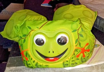 Puddle Jumper Frog 🐸