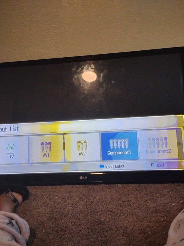 2010 LG TV 50"