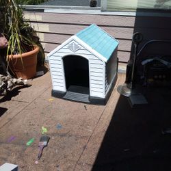 Dog House 