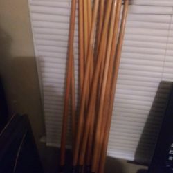 Pool Sticks