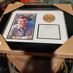 Award Of Excellence Picture Frame 10.inchx12 InchFrame 