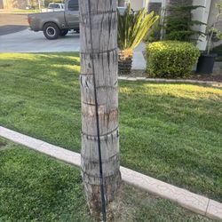 DAIWA Aird  Fishing Combo