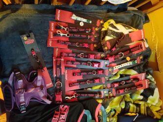 Dog Collars And Leashes