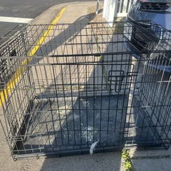 Dog Cage