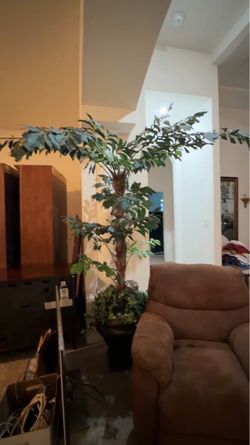 Artificial Fishtail Palm Tree