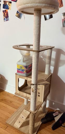 Cat Post and Litter