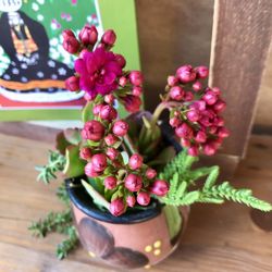 Rustic Handcrafted Mexican Clay Planter – Artisan Succulent Arrangement (Kalancho Blossfeldiana Fuchsia)