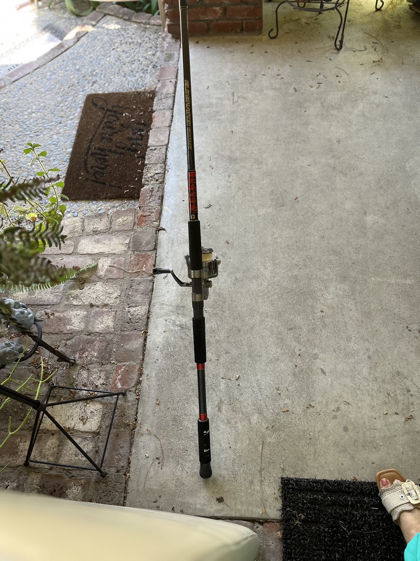 Daiwa Eliminator And 5000 Reel