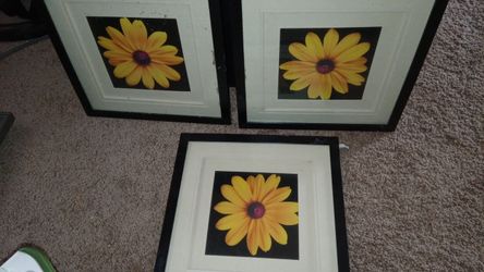 Frames