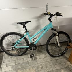 Trek Skye 16” 
