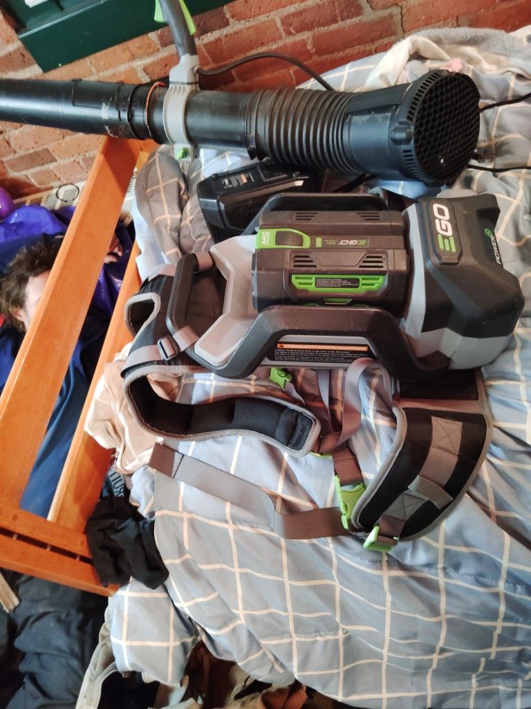 Leaf Blower For Sale