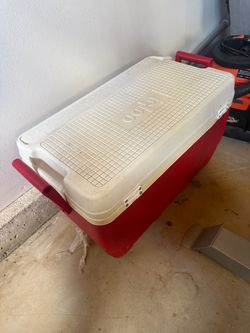 Cooler