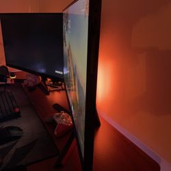 LG 31.5” Freesync  QHD monitor