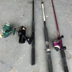 Fishing Rod And Reel