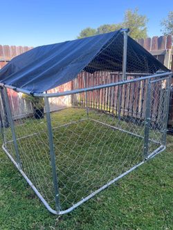 Dog Kennel