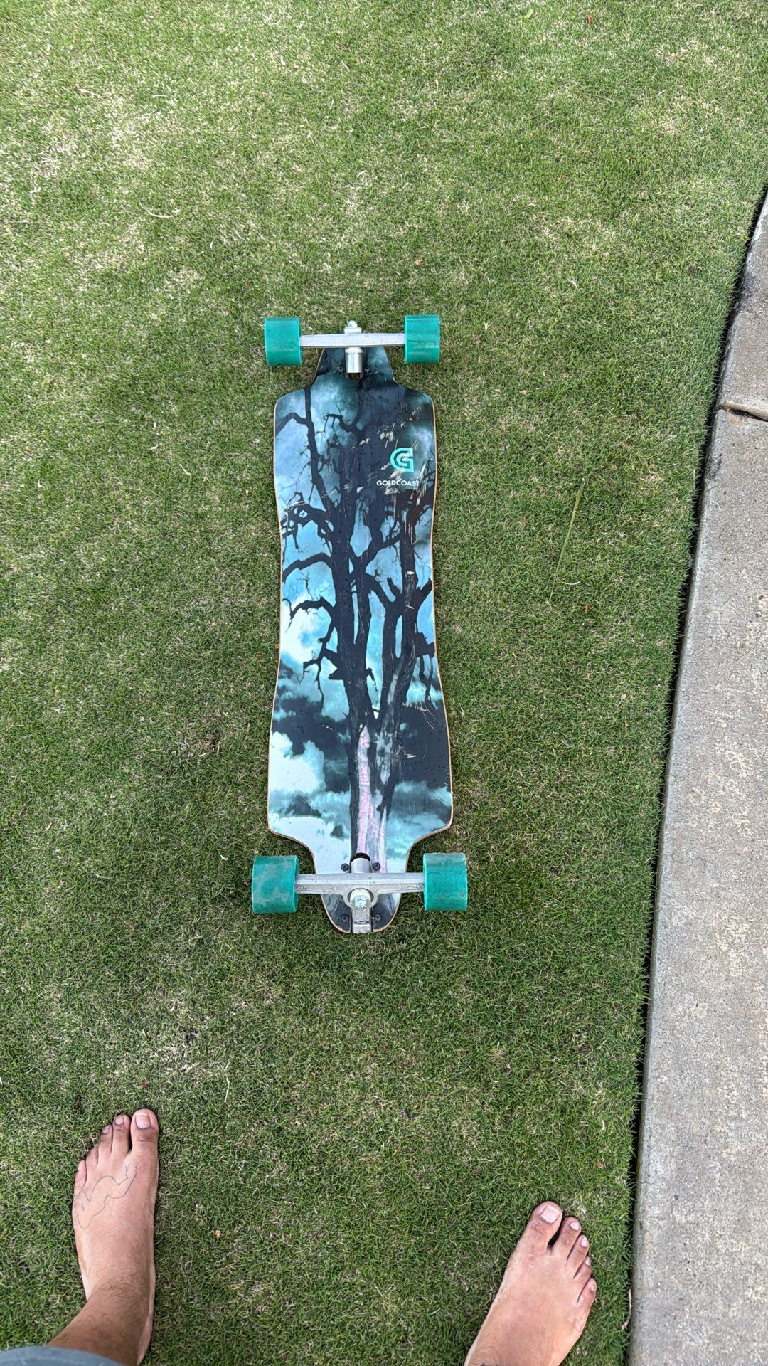 Long Board 