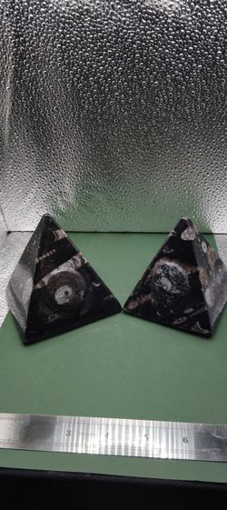 Pyramids Orthoceras With Ammonit Fossil 