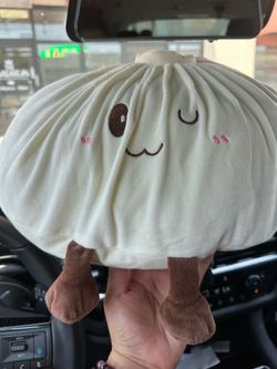 Dumpling Plushy
