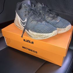 LeBron Witness VI