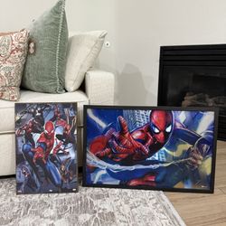 Spiderman Picture Home Decor 