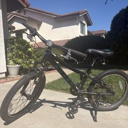 Haro Flight Line 20 Inch Bike