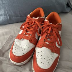 Nike dunks Men’s Size 11
