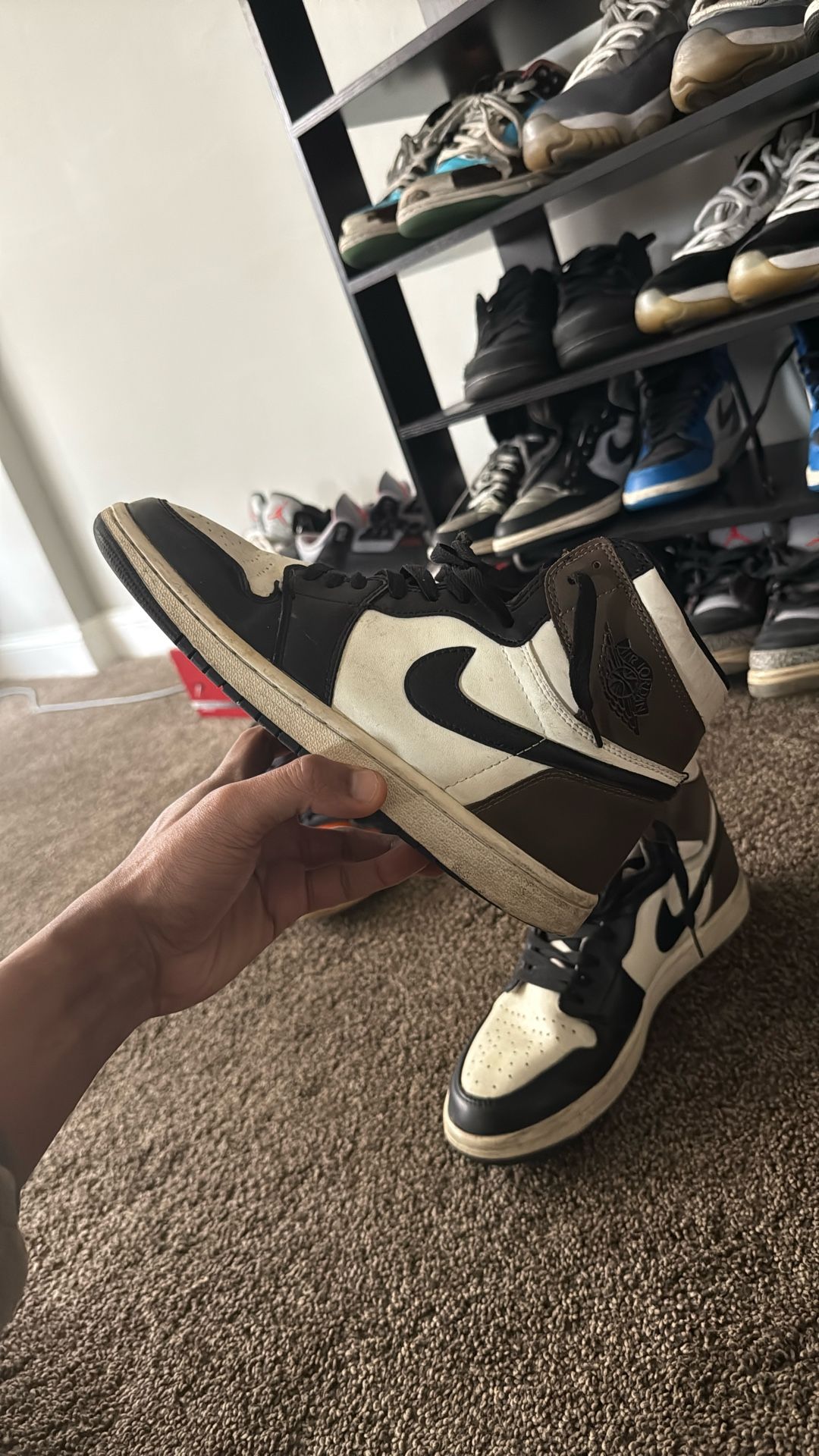 Mocha 1s