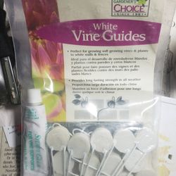 Vine Guide