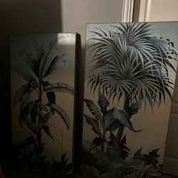 Very adorable  very large