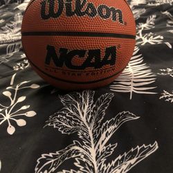 Small Wilson Basketball 