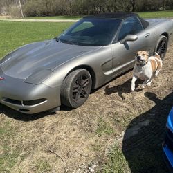 1999 Chevrolet Corvette