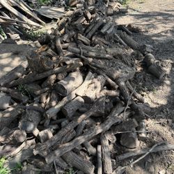 Free wood Logs